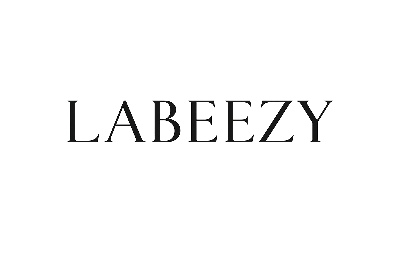Labeezy Fashion City